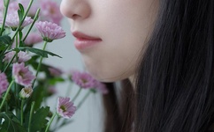 飞鱼是什么意思